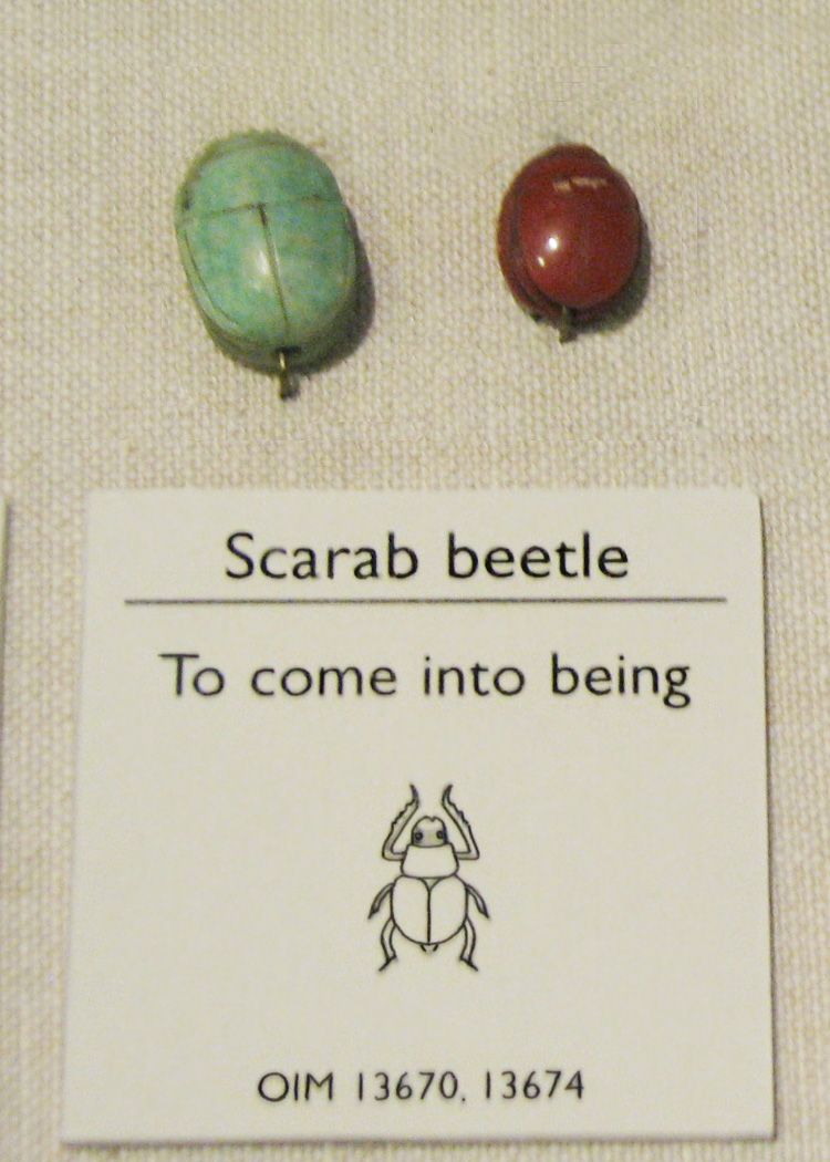 scarab=xeper